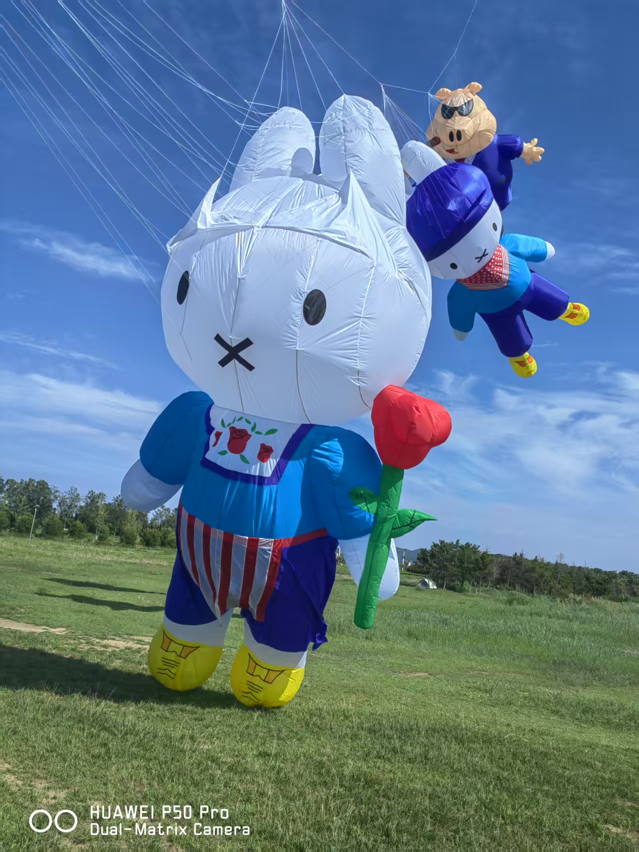 拉萨市儿童风筝定制风筝制作 - 方案